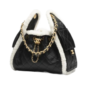 CHANEL 25 Small Handbag